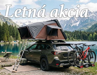 Leto akcia