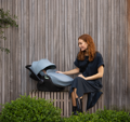 Thule Maple Light Gray