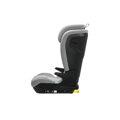 Thule Palm Mid Gray