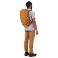 Thule Chasm  Backpack Laptop 26L Golden