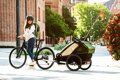 Cyklovozík  Thule Chariot Cab Cypress Green