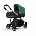 Thule Shine Mallard Green on Aluminum
