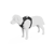 Ikona