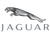 Jaguar Jaguar